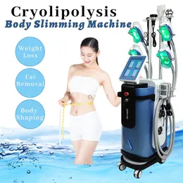 Vertical Vacuum Therapy Fat Freezing Cryolipolysis Weight Loss Machine Rf Skin Tightening Buttock Abdomen Cellulite Removal