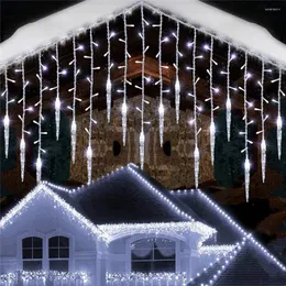 Dizeler Noel Icicle Lights 5m genişlik 0.5-0.7m yükseklik 216 LED Pencere Perde Dalgası Peri Çelenk Bahçe Evi Dekorları için 36 Damla