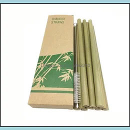 Drinking Green Bamboo Phyllostachys Heterocycla st Natural 20cm el bebidas STs com escova de leite de leite Tea de chá nova 8 9nt f2 d dhtyj