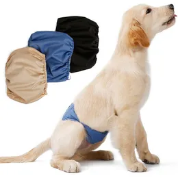 Hundkläder stor blöja sanitetsfysiologiska byxor återanvändbara Teddy gyllene manliga shorts underkläder trosor pet xs-xl