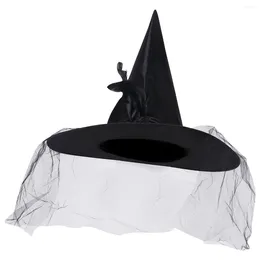 Makijaż gąbki czarnowce hatkoblay czarodziej dla dorosłych dla kostiumów Grasprop Dresscacesories Costume Deluxe Mardi Hats Główna czapka dziewczyny