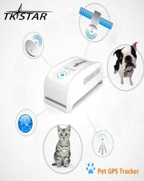 Super Mini GPS Tracker TK909 Long Soundby Time Dog Cat Pet Pet Pet GPS -трекер для веб -сайта iOS Andriod App Service8560189