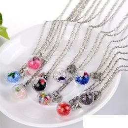 Pendant Necklaces Crystal Heart Drift Wishing Bottle Ball Pendants Necklaces For Women Fashion Glass Necklace Diy Jewelry Christmas Dhfpw