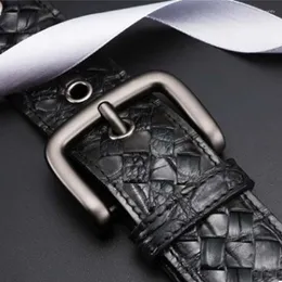 Belts llgoshe cintury cintury homens tecidos fivela negócios jovens lazer tendência Alligator autêntico