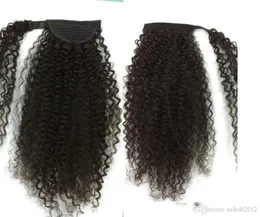 Afro gekinky lockiges menschliches Haar Pferdeschwanzverlängerungen 120 g Wrap Drawschnellstring menschliches Haarclip in Pferdeschwanz malaysischen Remy -Haaren