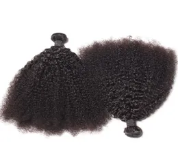 Brasiliani Afro Kinky ricci di capelli umani fasci di capelli non trasformati in trama doppi trame da 100 Gbundle 2Bundlelot ESTENSIONSE2002129