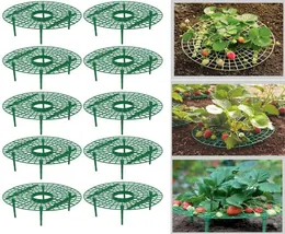 5 10 Pack Aardbeisteunen houden plantenfruitstandaard Vegetable Rack Gardengereedschap voor het beschermen van wijnstokken Vermijd gemalen 2206