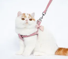 Cat Collars Leads Antistrike Traction Rope Cute Bow Verstelbare Harnesses Accessoires Duurzame uitjes Uitraden