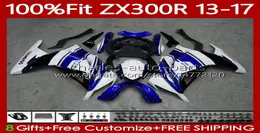 Kawasaki için OEM gövdesi EX ZX 3R 300R ZX3R ZX300R 1317 125NO66 EX300R ZX300R ZX300 ZX3R 13 14 15 16 17 EX300 2013 2014 20787574
