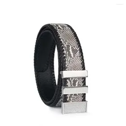 Belts Yuanhui Thailand Import Weaving Python Skin Men Belt Male Snake Leather Smooth Buckle Business Leisure