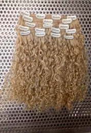 Nuovo stile Strong Chinese Virgin Remy Curly Capelli trama umana Clip clip Ins Capelli Blonde 6130 Color 100g Hair One Set2070736