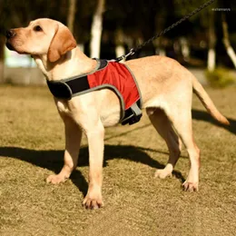 Köpek yaka aydınlık LED K9 Kablo Demet Yaka Güvenliği Yansıtıcı Yelek Husky Köpekler Gece Seyahat Malları