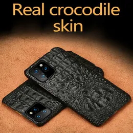 Per Apple Iphone Custodia per telefono Copertura semiavvolta 100% Pelle di coccodrillo Originale 3D Vera pelle di alligatore Coda di teschio Armatura posteriore 13 Pro Max 12 11