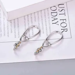 Wearing Sliver Jewelry Silver Earrings Earring Double Designers Twisted Thread Stud Needle Dy Women Earrings Fashion Versatile Platinum