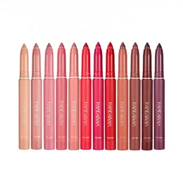 Handaiyan Lip Lip Sale Whole Lipstick Pencil Crayons Matite labbra Matte Matte Waterproof من السهل ارتداء أحمر الشفاه الطبيعية 12 غنية بالألوان التجميلية.