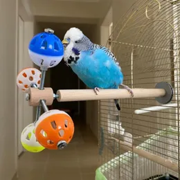 Другая птица поставляет Pet Bird Toys Toys Toys Toys Ball Hollow Bell Ball Funny Pet Toys для попугаев Cockatiel Parakeet Chew Fun Toy Bird Cages Украшение 221122