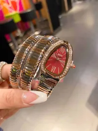 BRAND BVL Tamanho de 32 mm de Ladies Fashion Luxury Watch Adota o Double Type Type Snake Shape Imporp Quartz Movement Bezel lo 2907