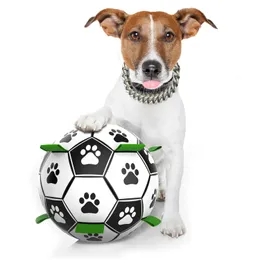 I giocattoli per cani mastica palline da dentizione durevole puzzle mastica giocattoli per cuccioli piccoli denti grandi denti interattivi da 6,5 ​​pollici palla giocattolo da calcio 221122