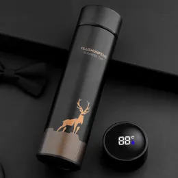 Bottiglie d'acqua Thermos in acciaio inossidabile intelligente Visualizzazione della temperatura Bottiglia intelligente Boccette per vuoto Thermos Regali di Natale Tazza da caffè 221122