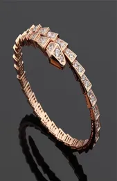 top level designer bracelet woman gold bangle luxury designer jewelry serpent copper Halloween Chirstmas Valentines Thanksgiving D9214026