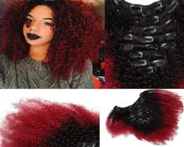 T1B Red Ombre Clip nelle estensioni dei capelli umani Afro Kinky Curly for Black Women Two Tone Brasilian Virgin Hair Clip INS 100G 7PCS3645317