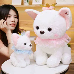 253545Cm Simulazione Kawaii Peluche Animali Cani Corona huahua Giocattolo Farcito huahua Con Gonna di Pizzo ldren natale Regalo di Compleanno J220729