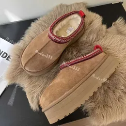 Vinterdesigner stövlar skor klassiska kvinnor tazz tozzs tallar päls glider ultra mini plattform mocka ull blandning komfort australien tossor tofflor hög kvalitet