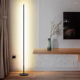 Lampade da terra Nordic Minimalista LED Soggiorno Nero/Bianco In piedi Luminaria Loft Decor Lampara Pie