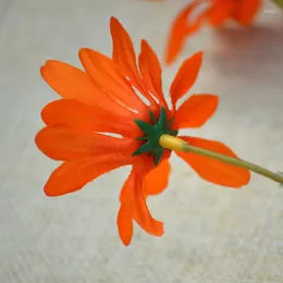 Dekoratif Çiçekler Lotus Chrysanthemum Simülasyonun 5 Başı Küçük Daisy Farsça Düğün Ev Pografi Dekorasyon Props