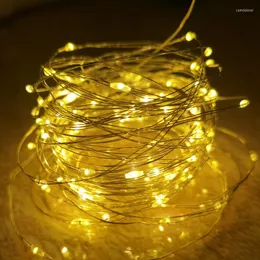 Stringhe USB Led Filo di rame String Lights Holiday Fairy Lampada da esterno Ghirlanda Luces per la decorazione dell'albero di Natale Decorazione di nozze