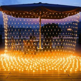 Dizeler 1.5x1.5m 3x2m LED Perde Net Meyes Peri Dize Işıkları Çelenk Lambası Düğün Partisi Tatil Yıl Açık Bahçe Dekoru