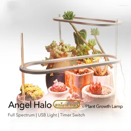 Grow Lights 2022 EST Full Spectrum LED Timer Timer Switch Angel Runway 8/12/16hours لنمو النباتات المائية البذور فيتولامب