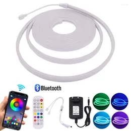 Paski DC12V Neon Light Bluetooth RGB Pasek LED 3535 Elastyczna taśmowa wstążka Dioda wodoodporna 96LEDS/M Znak zdalnego sterowania