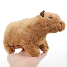 Simula￧￣o de simula￧￣o Capybara Bichos de pel￺cia Pluxus Toy Soft Dolls Real Life Capybaras Doll Kids Toys Gift de Natal 20cm 1142