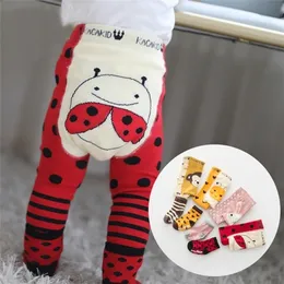 Trousers 2PcsSet Cute Animal born Baby Autumn Winter Warm Tight Pantyhose Cotton Knitting Girls Boys Soft Cotton Pants Tights Set 2201006