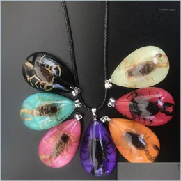 Pendant Necklaces 6 Pcs Natural Insect Fluorescent Necklace Black Scorpion Luminous Glow In The Dark Jewe Mjfashion Dhmkf