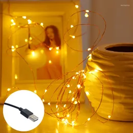 Strings 5M10M USB LED String Light Filo di rame impermeabile Holiday Luci da esterno per feste di Natale Decorazione di nozze