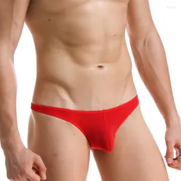 Underbyxor sexiga trosor män underkläder grossist nylonis silk ultratunn silkeslen andningsbar bikini mini trosor