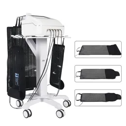 체중 통증 감소를위한 5d Maxlipo Light Slimming System 650nm 및 940nm 조명 기계 HS-268