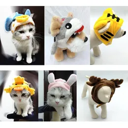 الحزب Cat Dog Approl Admear Cats Small Dogs Asse Costum