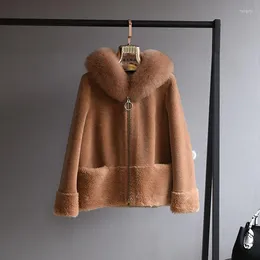 Women's Fur Real Coat Winter Jacket Women Natural Collar Hood Wool Content Woven Outerwear Teddy Polar Fleece Plush