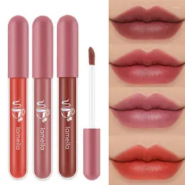 Lip Gloss Silky fosco fosco 24 horas During During Coloring Rendering Natural Hidratante Mulheres à prova d'água Lipstick Sexy Makeup Sexy