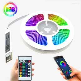 Tiras RGB LED LUZ DC5V Iluminação de fita de cabo USB Modelo Bluetooth Ir Remote Controller Decoração Lâmpada Luminosa Luminosa