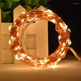 Strings 20M 66FT 200 LEDs Mini Waterproof Christmas LED Copper Wire String Light For Wedding Xmas Garland Party Fairy Lamp DC 12V