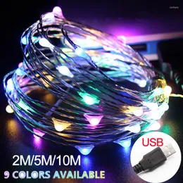ストリング2m 5m 10m 20 50 100 LED USB String light for Xmas Garland Party Wedding Decoration Christmas Tree Flasher Fairy