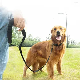 Collari per cani Corda per guinzaglio Comodo manico in spugna Cintura di sicurezza per animali domestici Cordino per addestramento all'aperto Cordino per cani di taglia piccola e media Accessori per roba