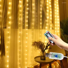 Saiten 3M LED -Vorhanggirlande im Ladenfenster USB -Saiten Lichter Wohnkultur mit ferner Weihnachtshochzeit Ramadan Dekoration Salon
