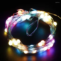 Strings Outdoor 5M LED-Lichterkette App-gesteuerte WLAN-Musik für Alexa