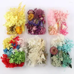 Flores decorativas 1 caixa de plantas secas artificiais vela e epóxi resina pingente de pingente jóias fazendo acessórios de diy artesanato b0706