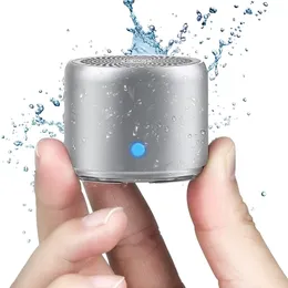 Taşınabilir Hoparlörler EWA Mini Bluetooth Hoparlör Metal Ağır Bas Dış Mekan 50 IPX7 Su geçirmez Taşınabilir Kablosuz Ses A106Pro Müzik Oyuncu Hoparlörleri 221011